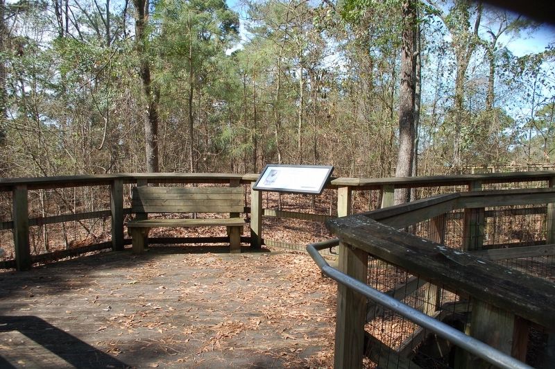Why Was Fort Buhlow Built? Marker image. Click for full size.