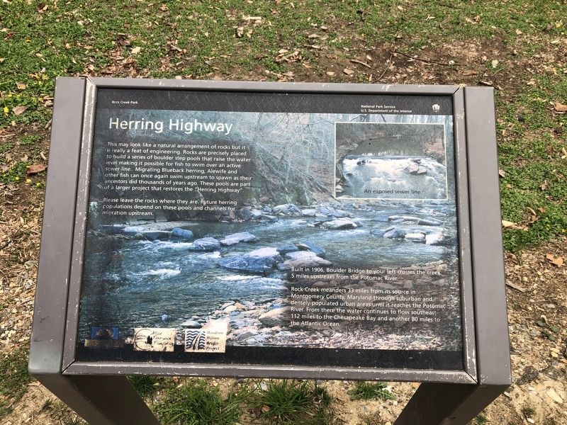 Herring Highway Marker. Click for full size. Herring Highway Marker image. Click for full size.