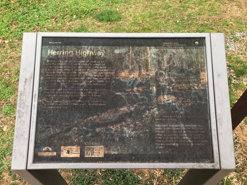 Herring Highway Marker image. Click for full size.