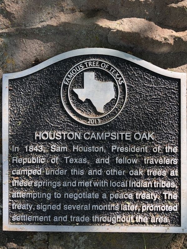Houston Campsite Oak Marker image. Click for full size.