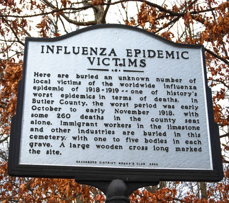 Influenza Epidemic Victims Marker image. Click for full size.