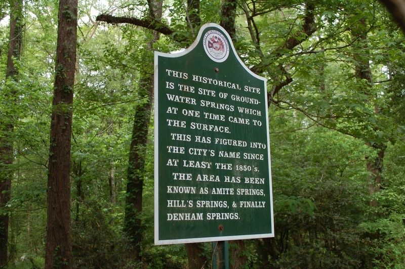 Denham Springs Historic Site Marker image. Click for full size.