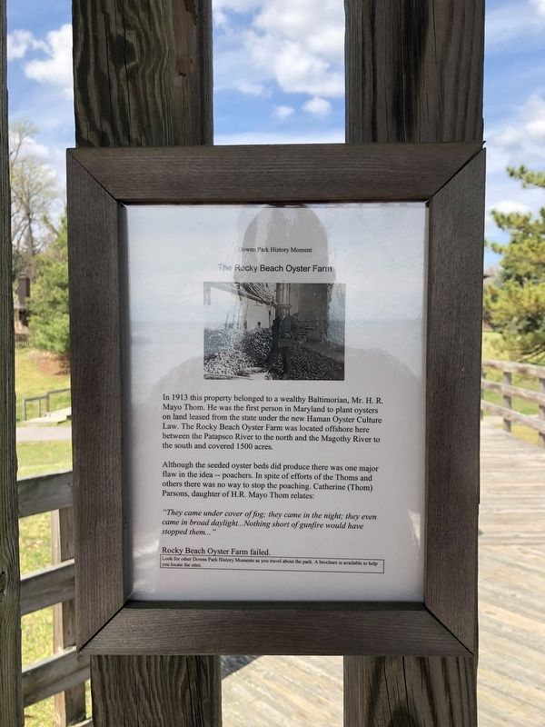 The Rocky Beach Oyster Farm Marker image. Click for full size.