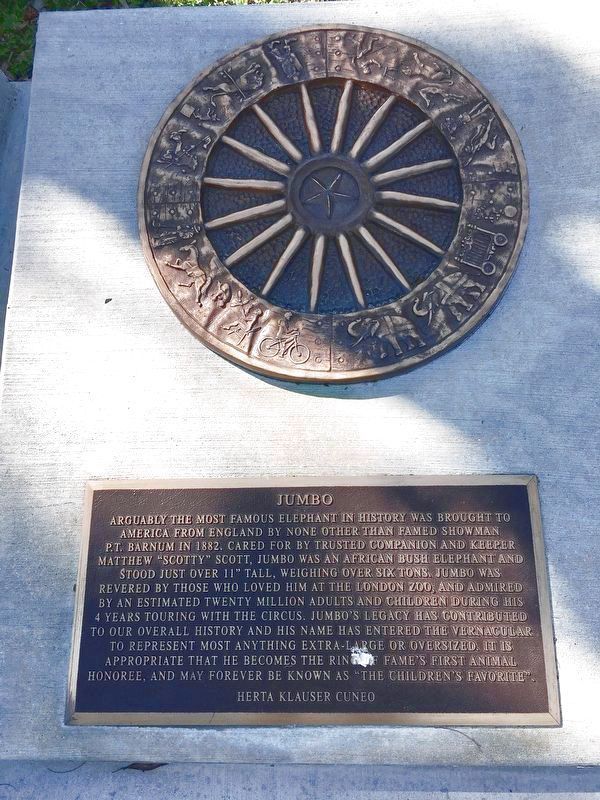 Jumbo Marker image. Click for full size.