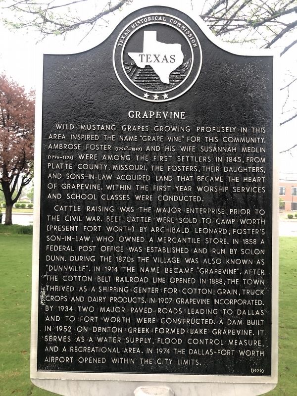 Grapevine Marker image. Click for full size.