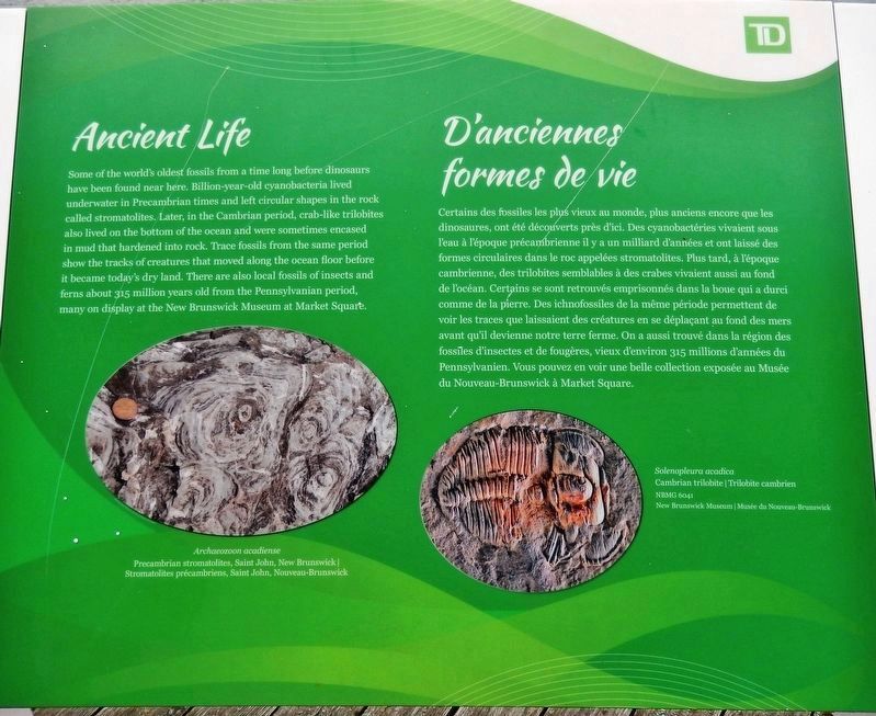 Ancient Life / D'anciennes formes de vie Marker. Click for full size. Ancient Life / D'anciennes formes de vie Marker image. Click for full size.