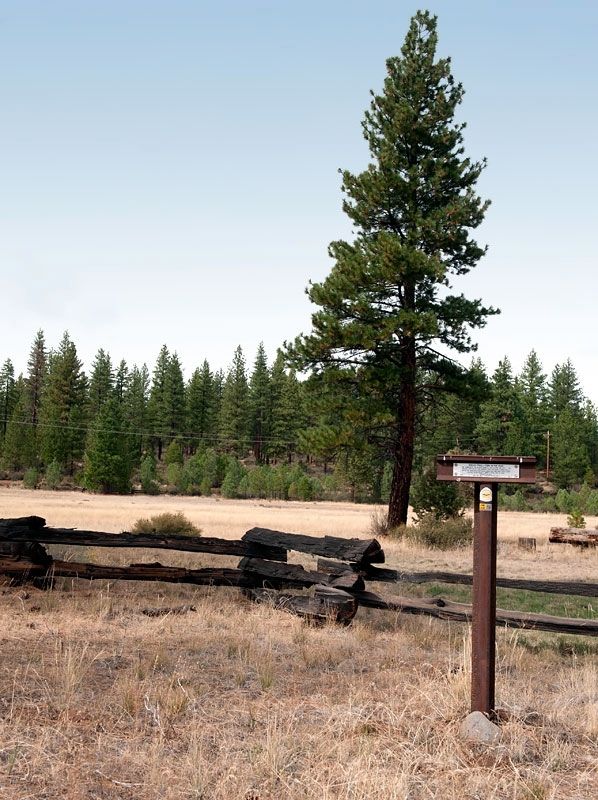 Nobles Trail - Fork in the Road Marker. Click for full size. Nobles Trail - Fork in the Road Marker image. Click for full size.