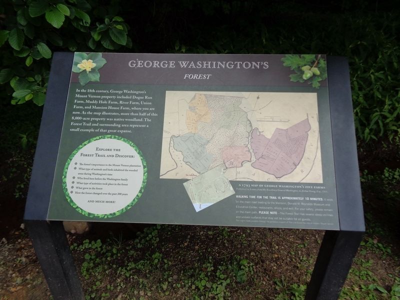 George Washington's Forest Marker image. Click for full size.