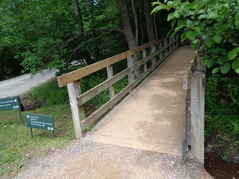 George Washington's Forest Entrance image. Click for full size.