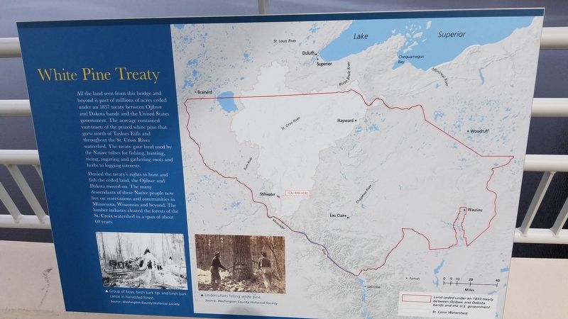 White Pine Treaty Marker. Click for full size. White Pine Treaty Marker image. Click for full size.