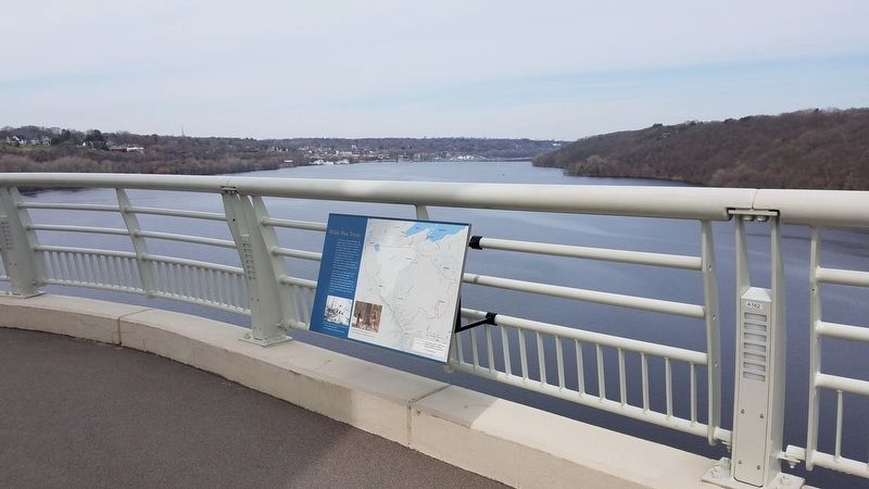 White Pine Treaty Marker looking north on the St. Croix River.. Click for full size. White Pine Treaty Marker looking north on the St. Croix River. image. Click for full size.