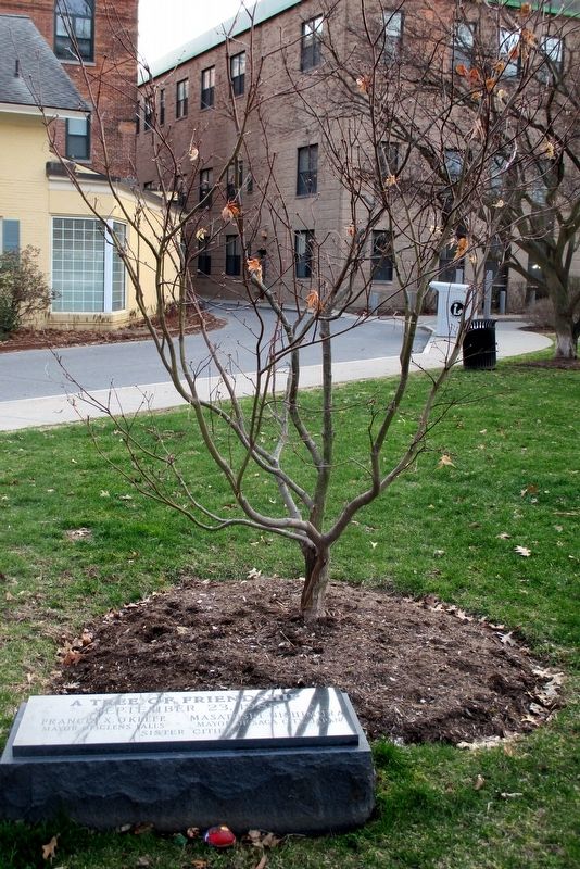 Tree of Friendship and the marker. Click for full size. Tree of Friendship and the marker image. Click for full size.