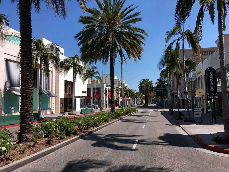 Rodeo Drive image. Click for full size.