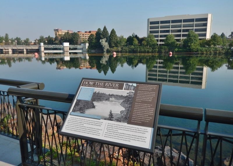 How the River Became Home for Sqelix — Spokane Tribe Marker image. Click for full size.
