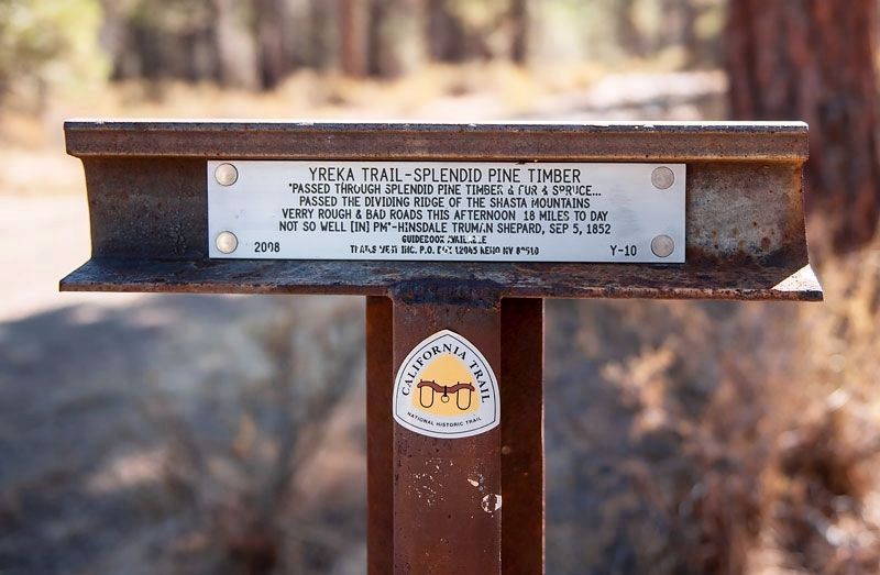 Yreka Trail - Splendid Pine Timber Marker image. Click for full size.