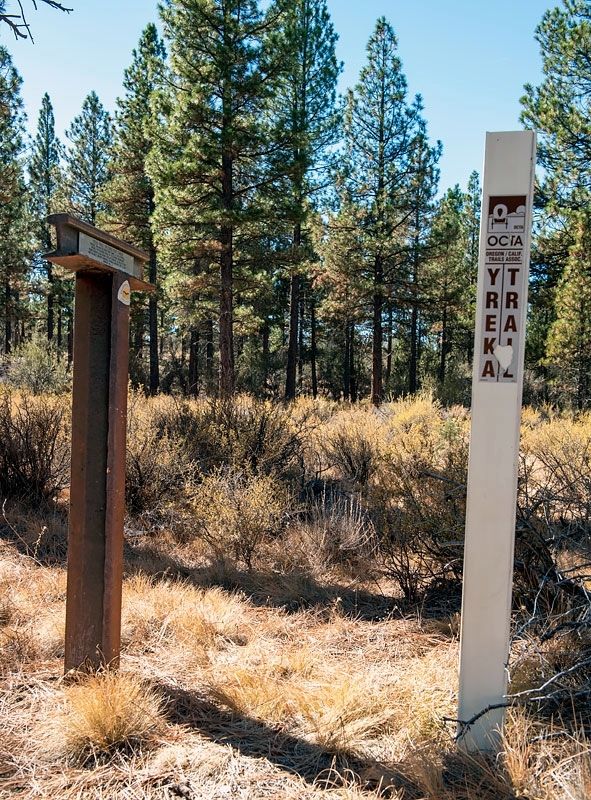 Yreka Trail - Splendid Pine Timber Marker image. Click for full size.
