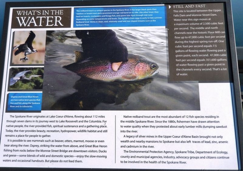 What's in the Water Marker image. Click for full size.