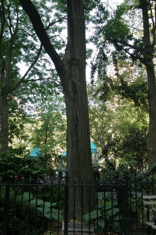 New York Life Veterans Memorial and Memorial Tree image. Click for full size.