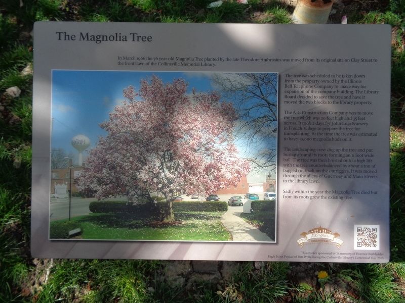 The Magnolia Tree Marker image. Click for full size.