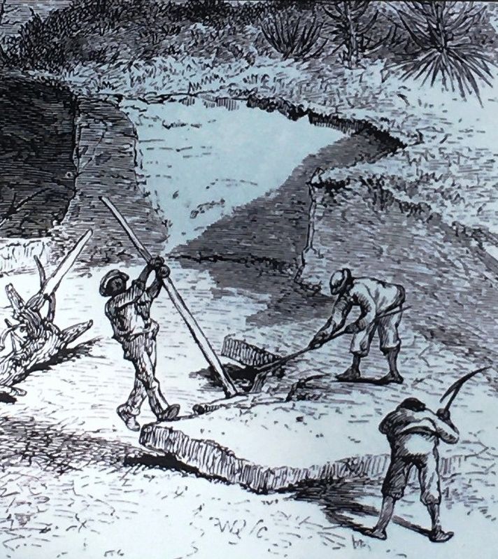Photo Insert Left: A coquina quarry in Florida. image. Click for full size.