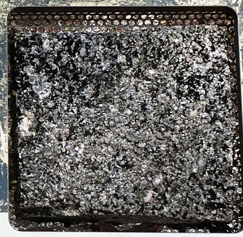 Photo Insert Right: coquina up close image. Click for full size.