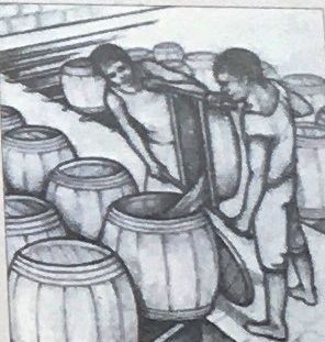 Photo Insert Bottom Right: Packing barrels with raw sugar before the drying process image. Click for full size.