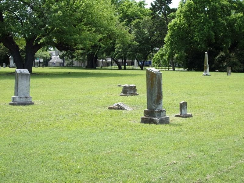 A view of the Caruth Pioneer Cemetery image. Click for full size.