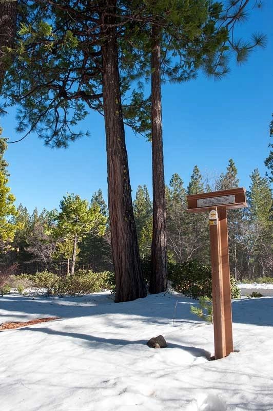 Nevada City Road - Washington Ridge Summit Marker image. Click for full size.