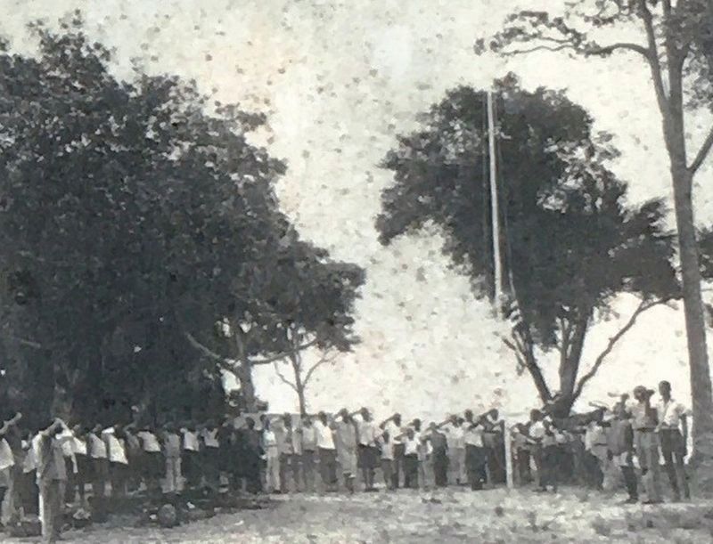 African American Boy Scouts Troops. Click for full size. African American Boy Scouts Troops image. Click for full size.