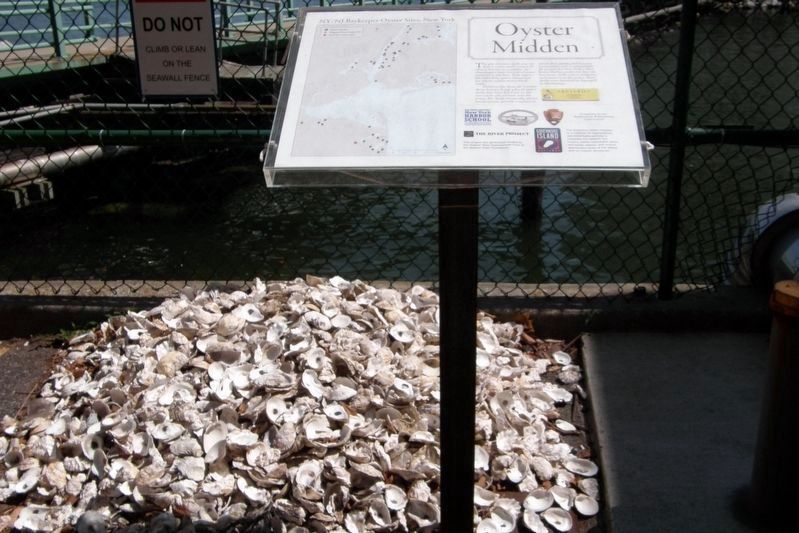 "Oyster Middens" wayside image. Click for full size.