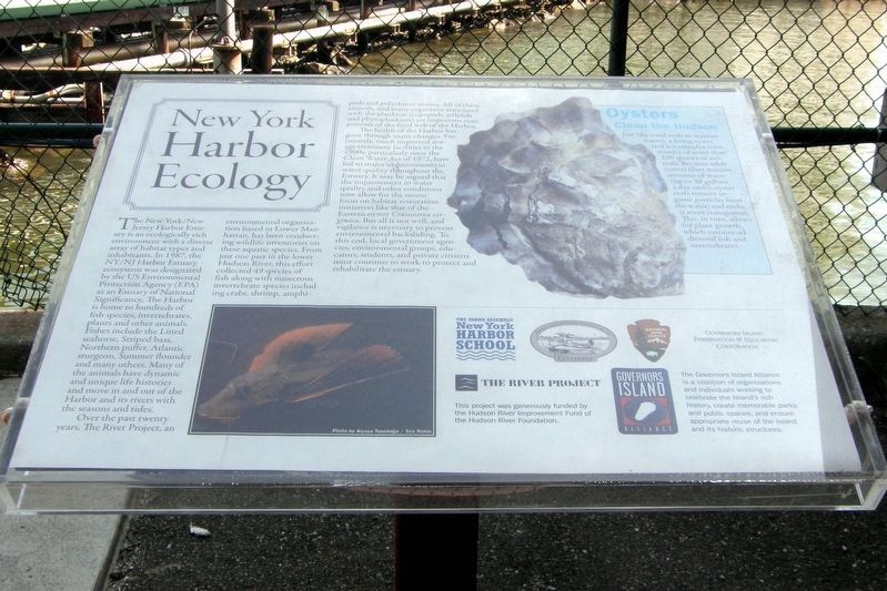 "New York Harbor Ecology" wayside image. Click for full size.
