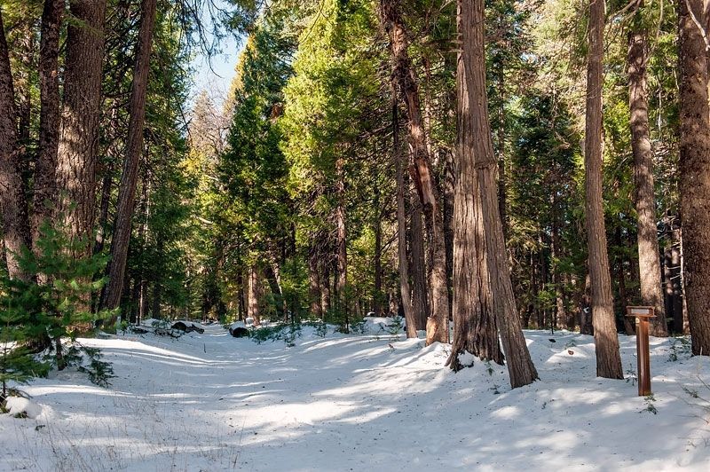 Nevada City Road - No Water on Washington Ridge Marker image. Click for full size.