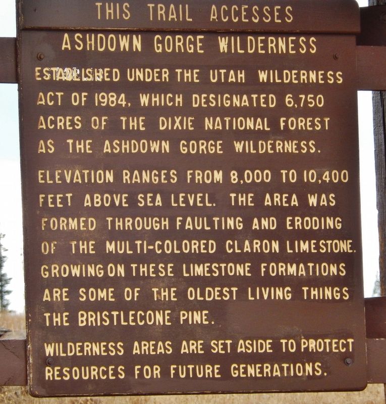 Ashdown Gorge Wilderness Marker. Click for full size. Ashdown Gorge Wilderness Marker image. Click for full size.