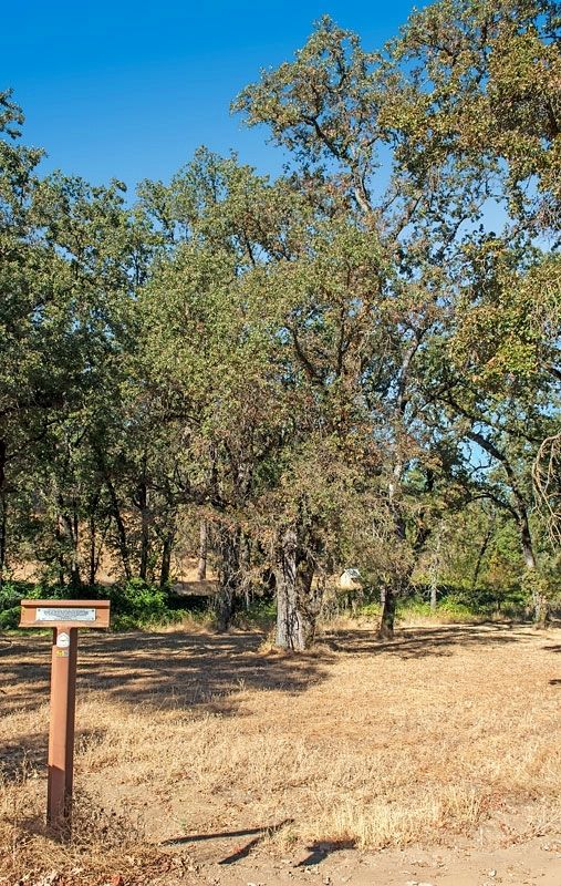 Truckee Trail - Last of the Foothills Marker. Click for full size. Truckee Trail - Last of the Foothills Marker image. Click for full size.