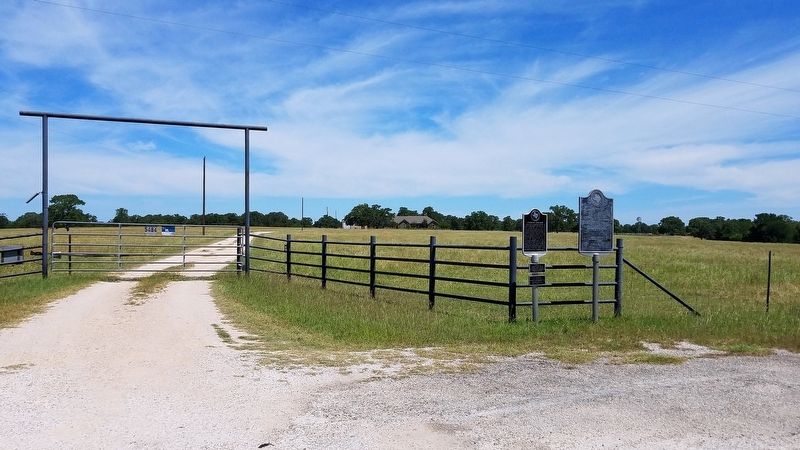 Lincecum Cemetery Marker Area image. Click for full size.