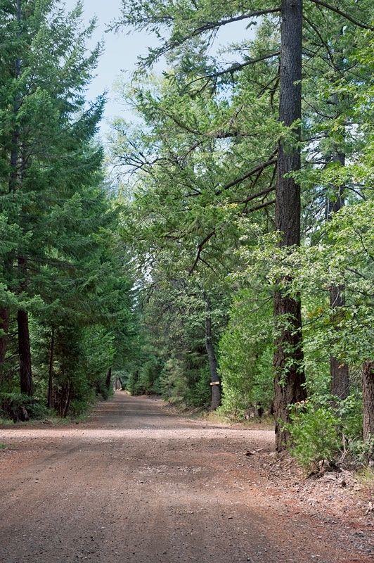 Deer Flat Road. Click for full size. Deer Flat Road image. Click for full size.