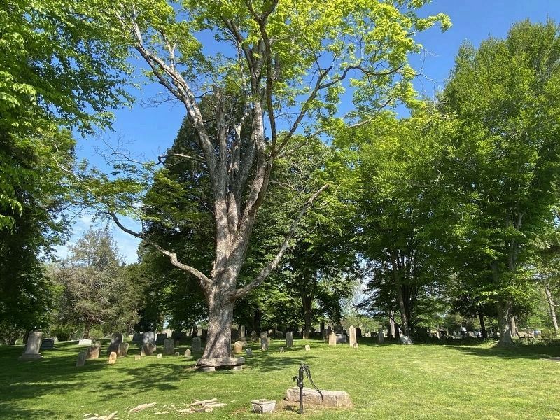 Beech Cumberland Presbyterian Church Cemetery image. Click for full size.