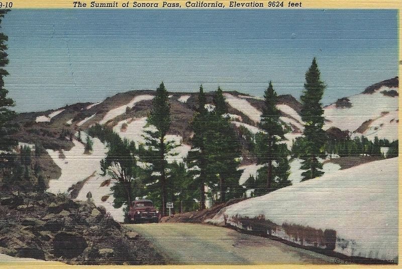 Sonora Pass Summit image. Click for full size.
