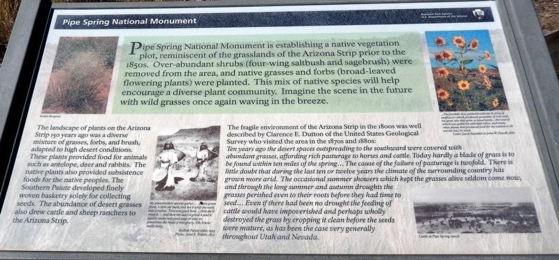 Pipe Spring National Monument Marker. Click for full size. Pipe Spring National Monument Marker image. Click for full size.