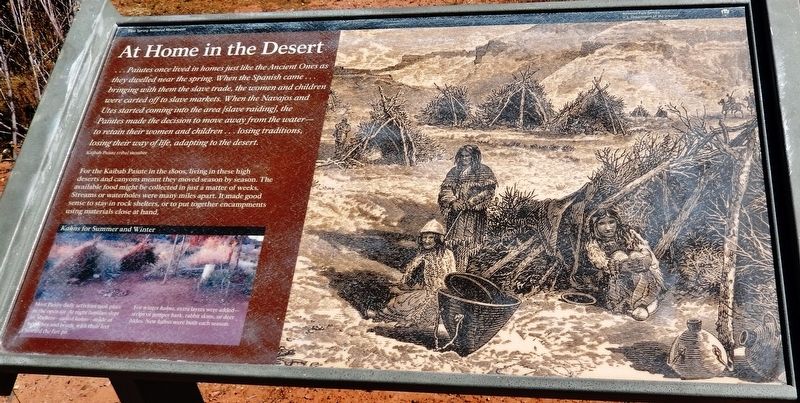 At Home in the Desert Marker. Click for full size. At Home in the Desert Marker image. Click for full size.