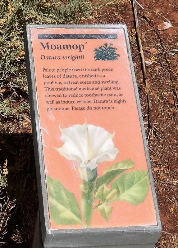 Moamop' Marker. Click for full size. Moamop' Marker image. Click for full size.