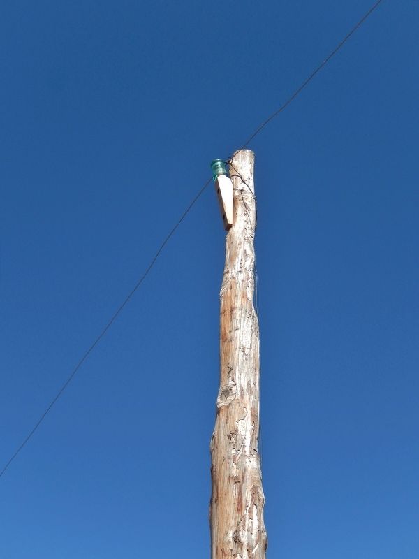 Juniper Telegraph Pole image. Click for full size.