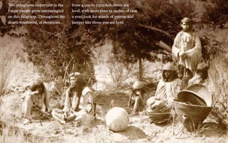 Marker detail: Background Photo image. Click for full size.
