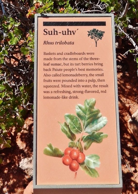 Suh-uhv' Marker. Click for full size. Suh-uhv' Marker image. Click for full size.