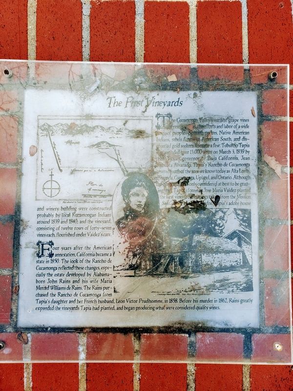 The First Vineyards Marker image. Click for full size.