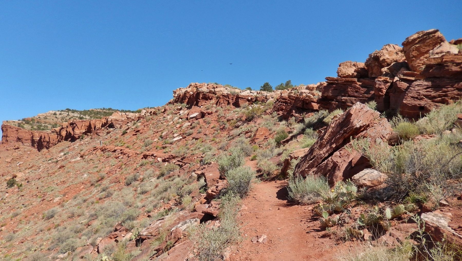 Navajo Sandstone Cliffs & Ridge Trail. Click for full size. Navajo Sandstone Cliffs & Ridge Trail image. Click for full size.