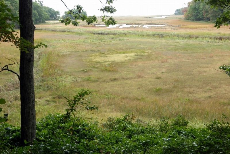 Rachel Carson National Wildlife Refuge image. Click for full size.