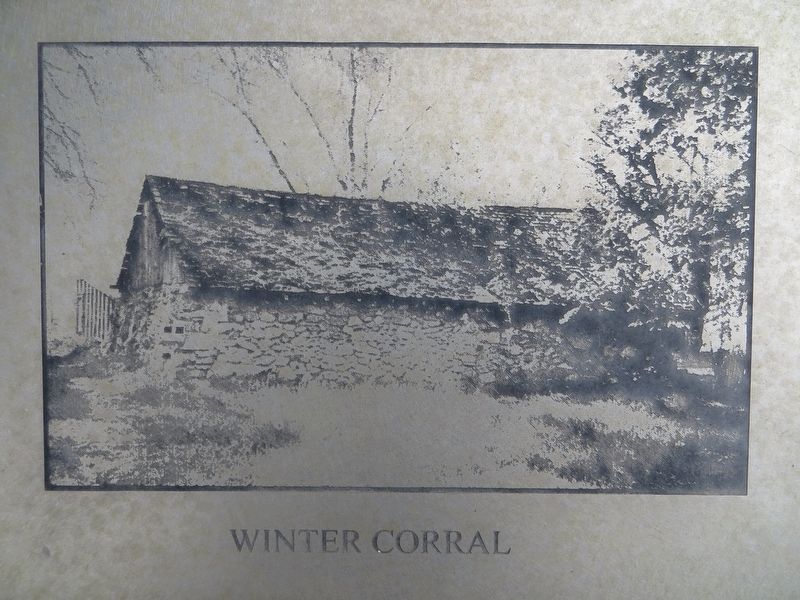 Winter Corral image. Click for full size.