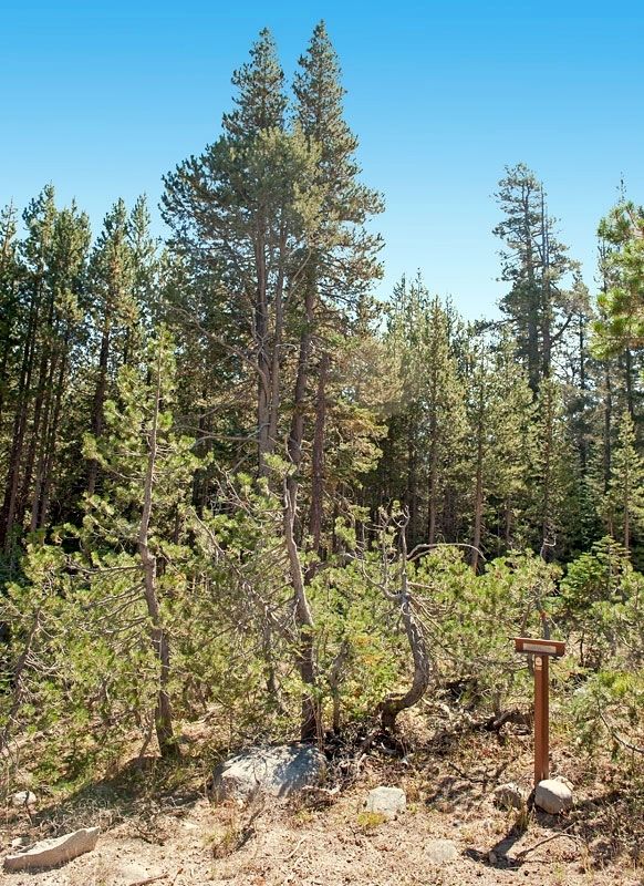 Truckee Trail - Leaving Summit Valley Marker. Click for full size. Truckee Trail - Leaving Summit Valley Marker image. Click for full size.