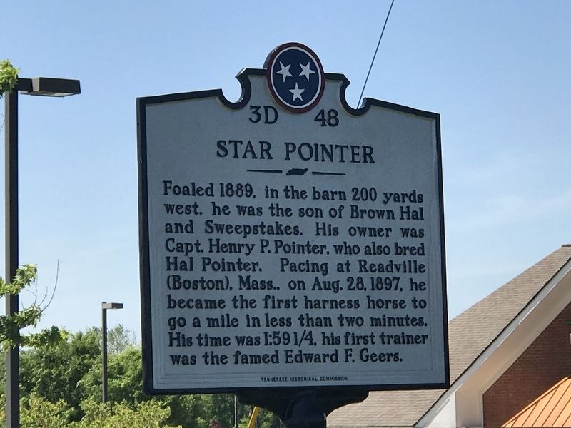 Star Pointer Marker image. Click for full size.